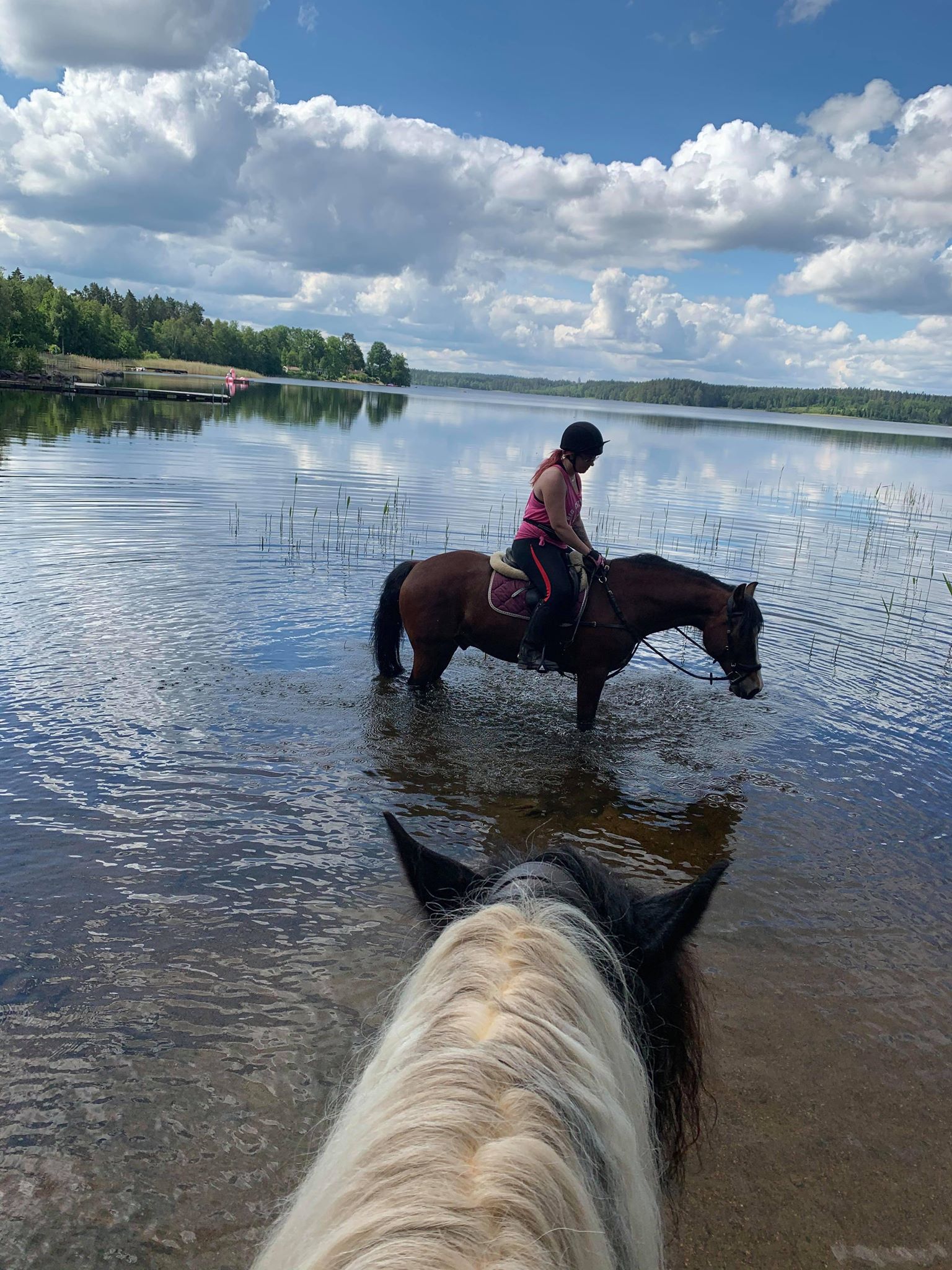 Budkavleritten 2020 -  Elin Jansson badar med hästen Brudviks Dyfodol