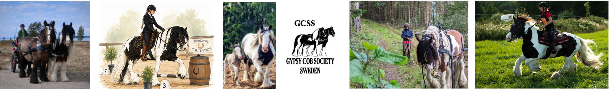 Gypsy Cob Society Sweden